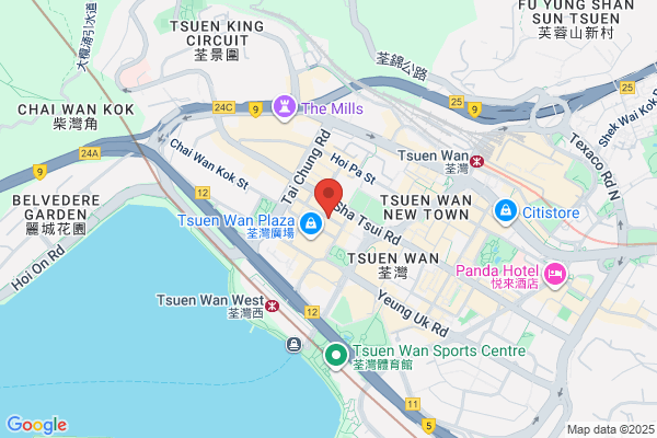 David Cheung Professional Detective Limited