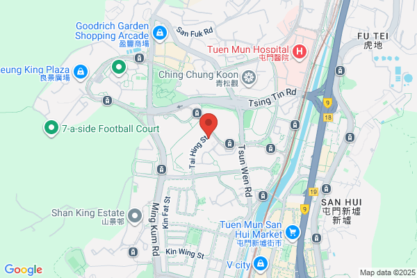 Tai Hing Electronic Co