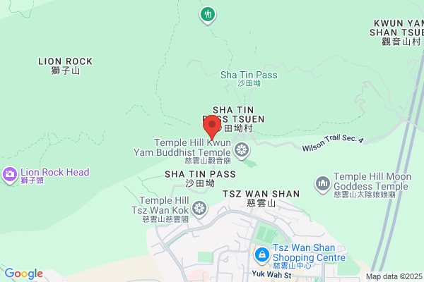 Wong Cheuk Tin