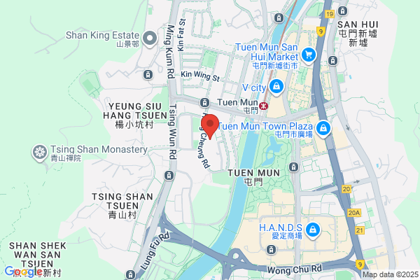 P L Tang & Co Ltd