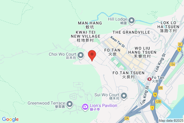 Wing Kwong Engrg Co Ltd