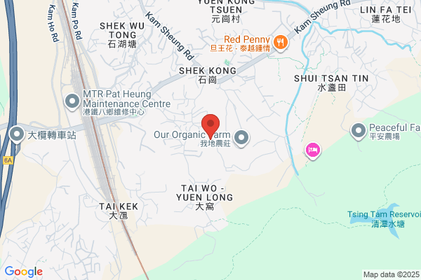Ng Choi Ngor